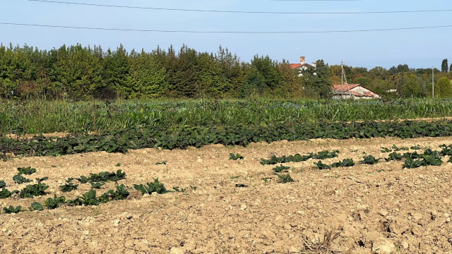 Amministrazione comunale e associazioni degli agricoltori unite contro la crisi idrica