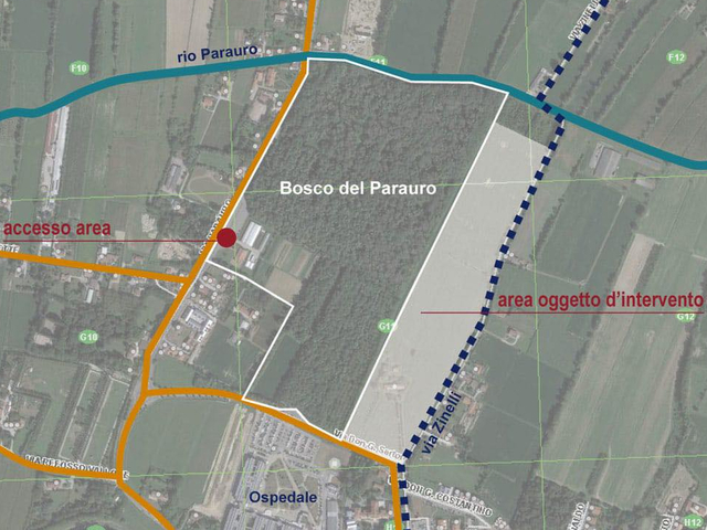 Ampliamento Bosco del Parauro: il progetto presentato dal comune ottiene l’approvazione e i fondi del MiTE